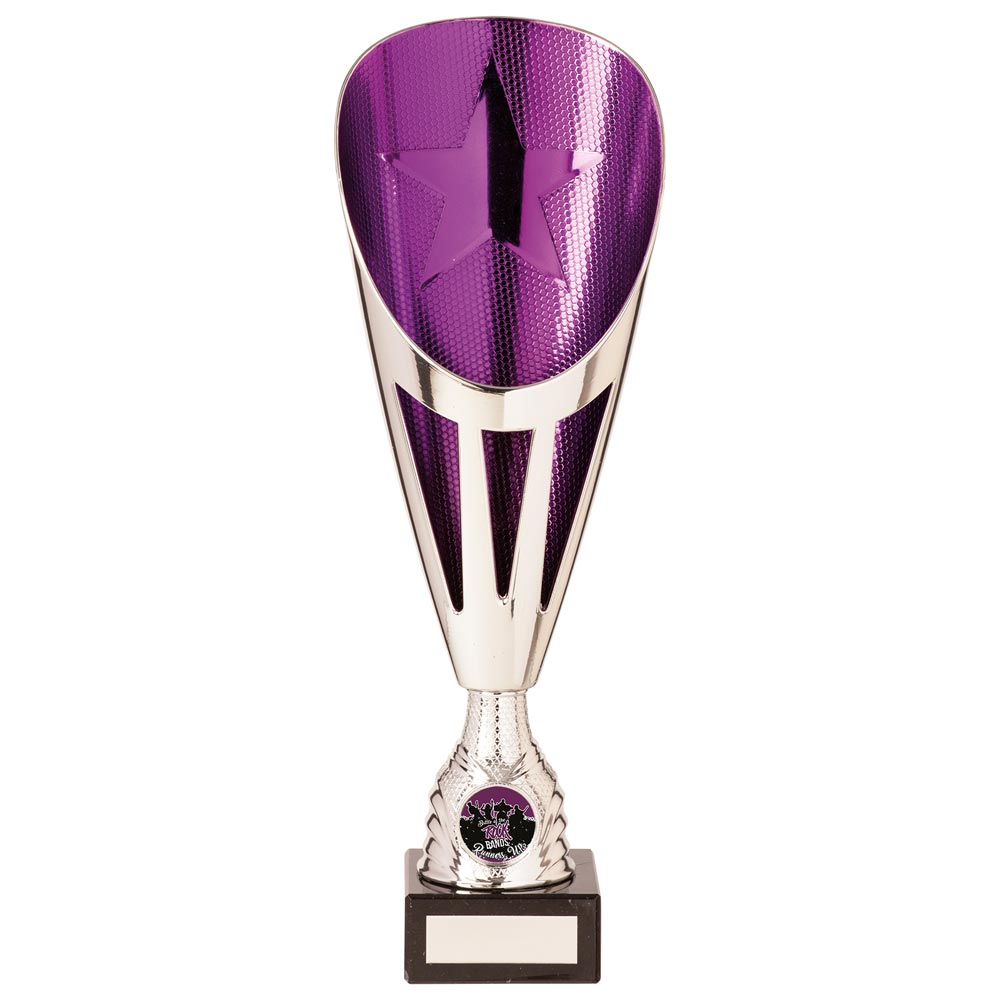 Rising Stars Deluxe Purple & Silver Trophy