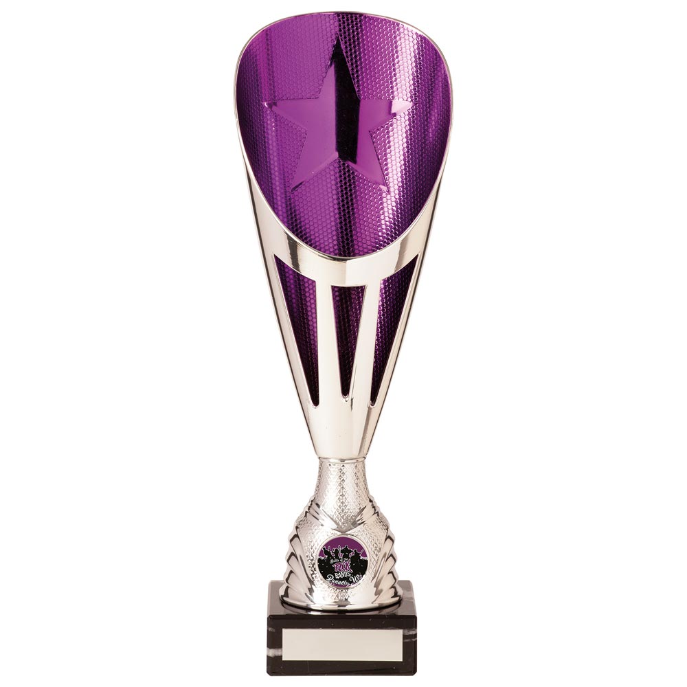 Rising Stars Deluxe Purple & Silver Trophy – 325mm