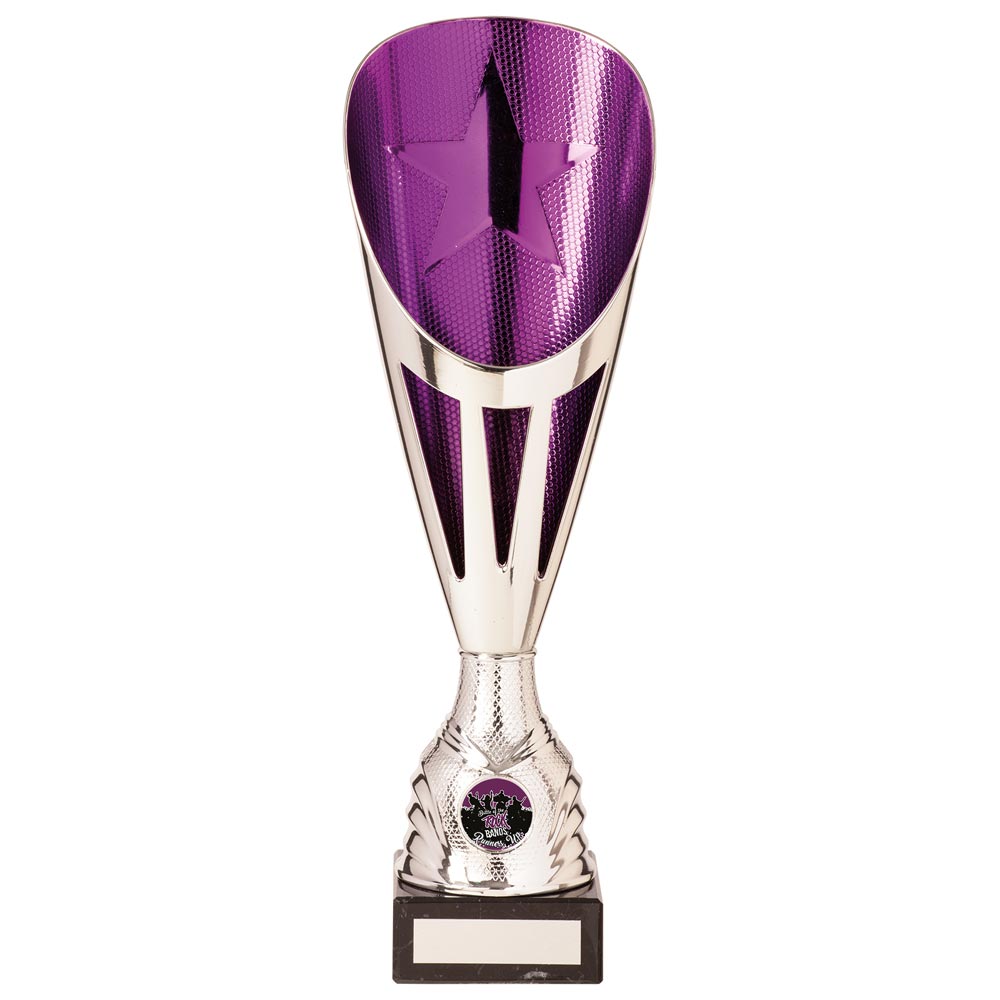Rising Stars Deluxe Purple & Silver Trophy – 335mm