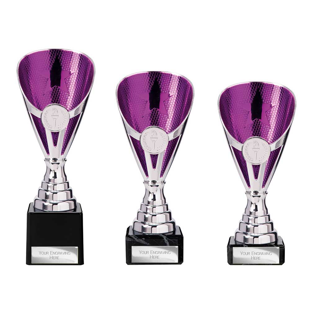 Rising Stars Premium Purple & Silver Trophy