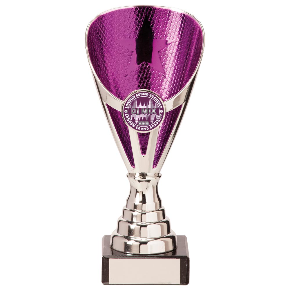 Rising Stars Premium Purple & Silver Trophy – 175mm