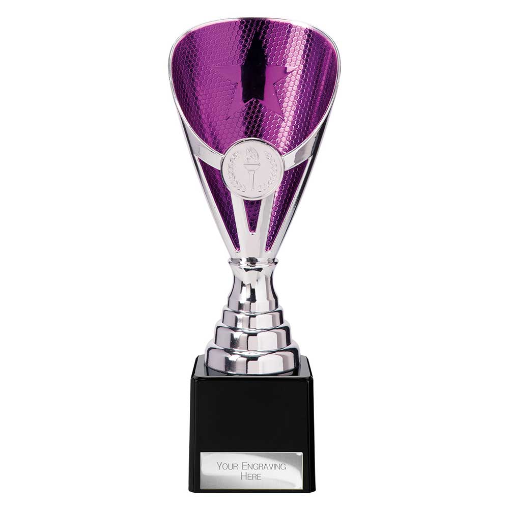Rising Stars Premium Purple & Silver Trophy – 205mm