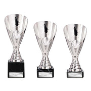 Rising Stars Premium Silver Trophy