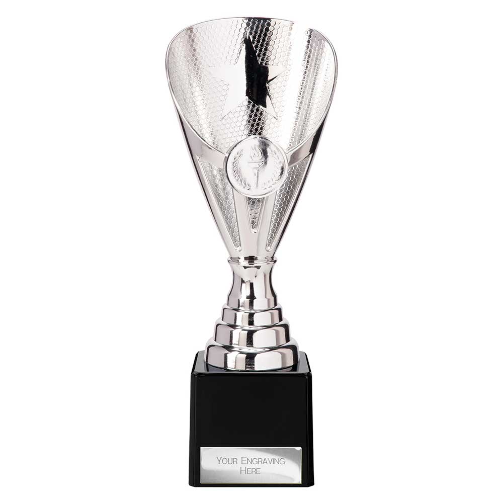 Rising Stars Premium Silver Trophy – 205mm
