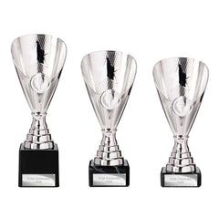 Rising Stars Premium Silver Trophy
