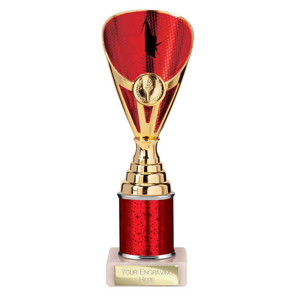 Rising Stars Red & Gold Tube Trophy – 230mm