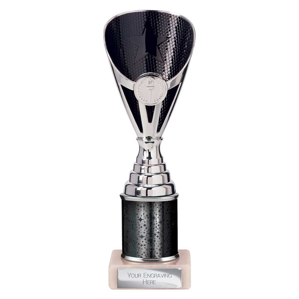 Rising Stars Black & Silver Tube Trophy – 230mm