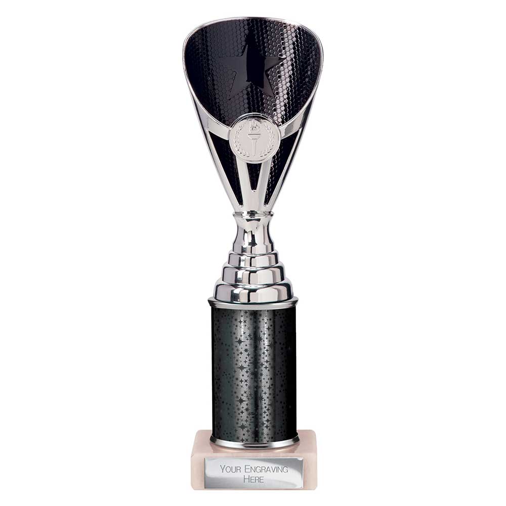 Rising Stars Black & Silver Tube Trophy – 255mm