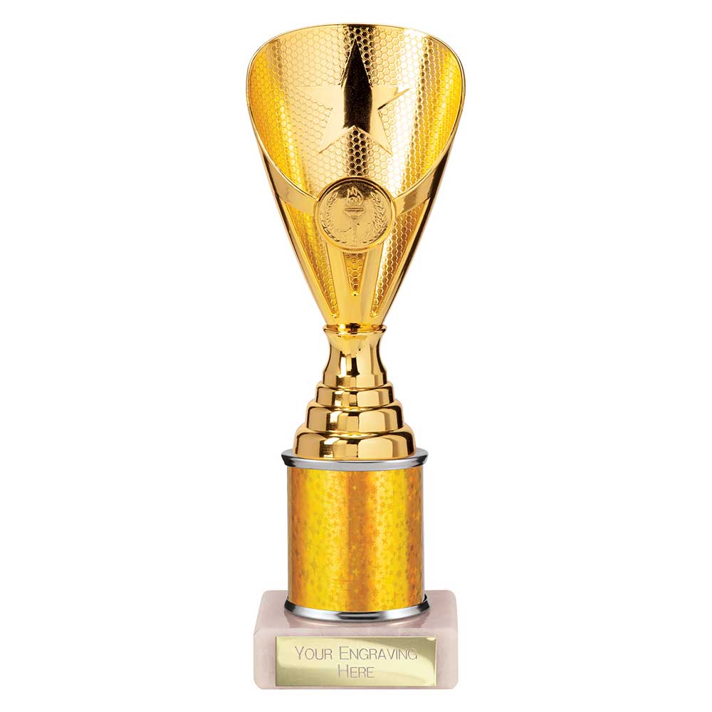 Rising Stars Gold Tube Trophy