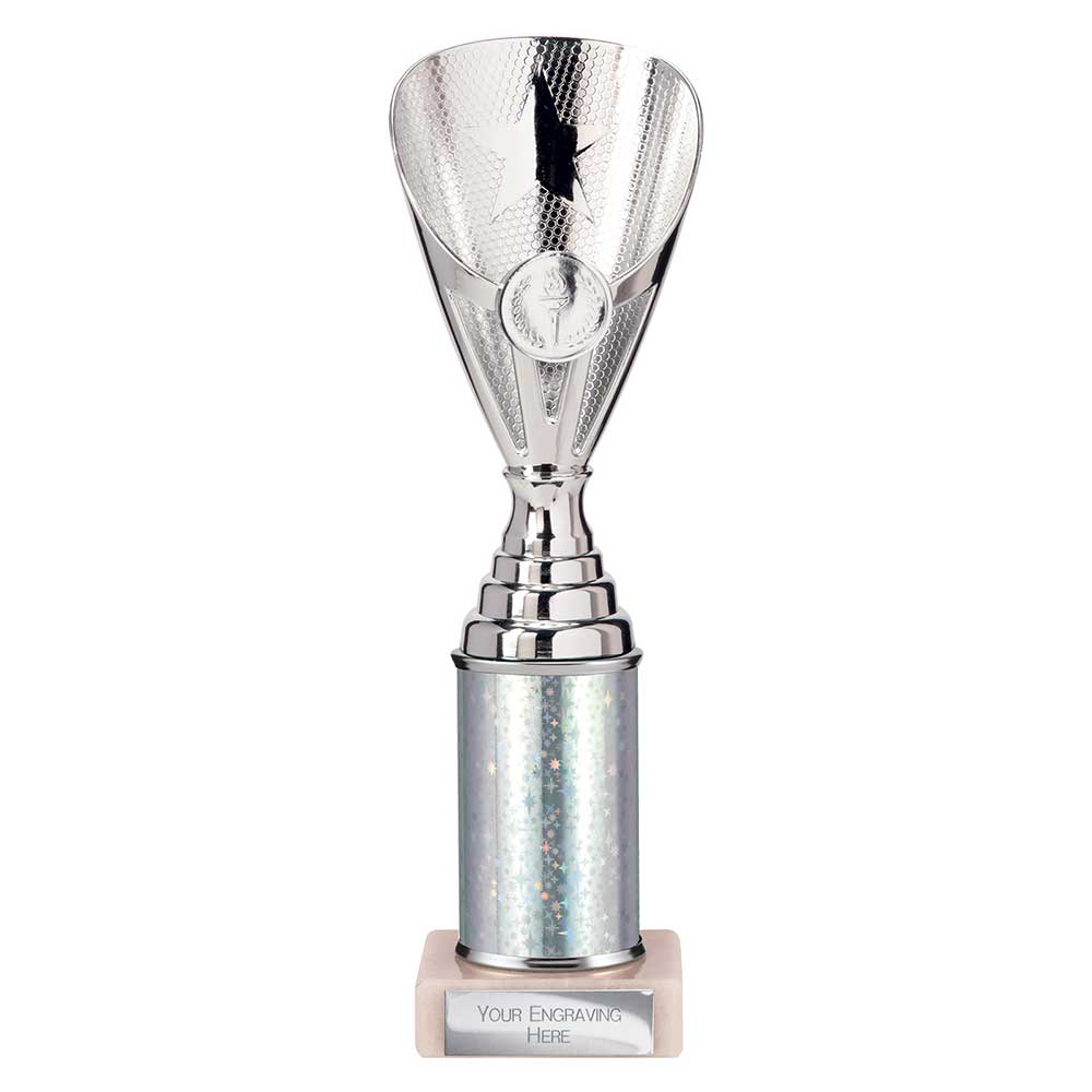 Rising Stars Silver Tube Trophy – 255mm