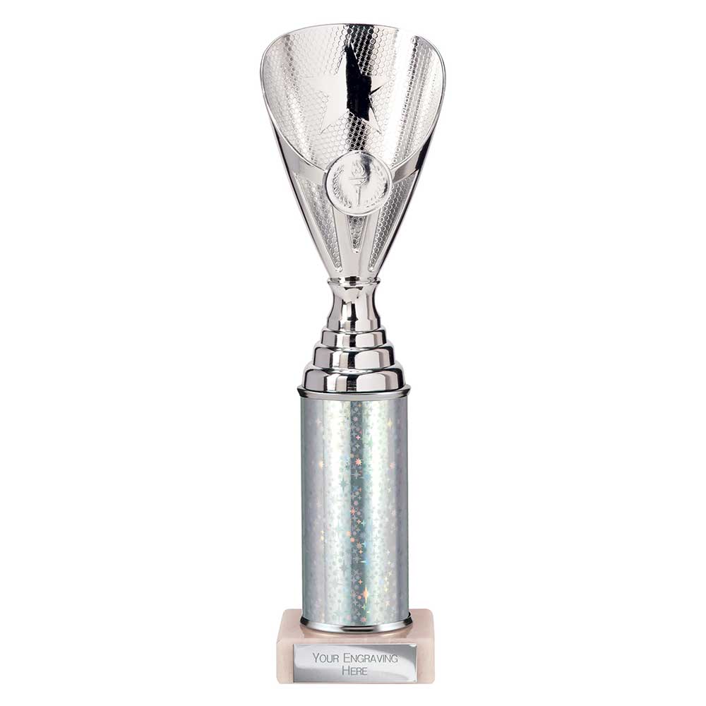 Rising Stars Silver Tube Trophy – 280mm