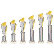 Flash Silver & Gold Tube Trophy