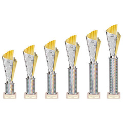 Flash Silver & Gold Tube Trophy