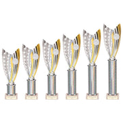 Glamstar Silver & Gold Tube Trophy