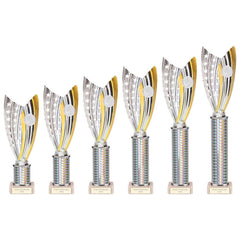 Glamstar Silver & Gold Tube Trophy