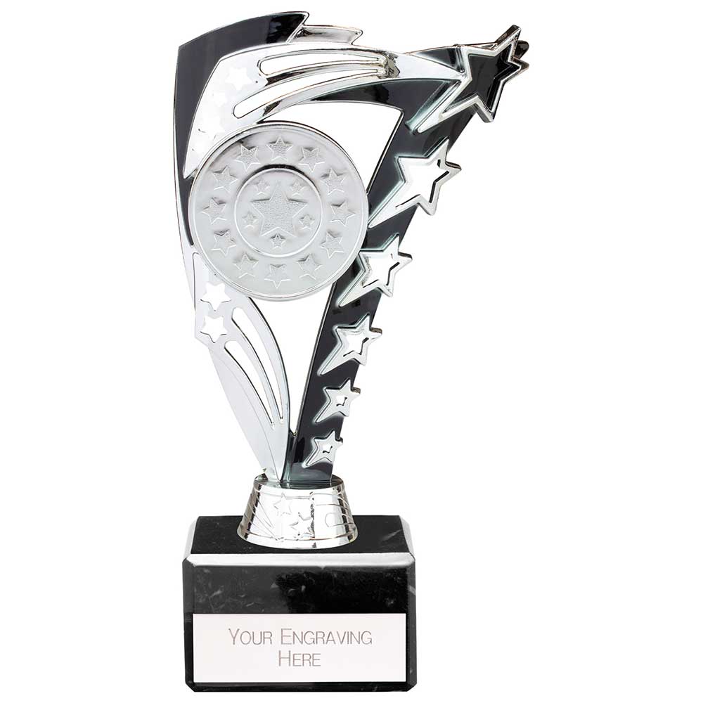 Frenzy Black & Silver Trophy – 195mm