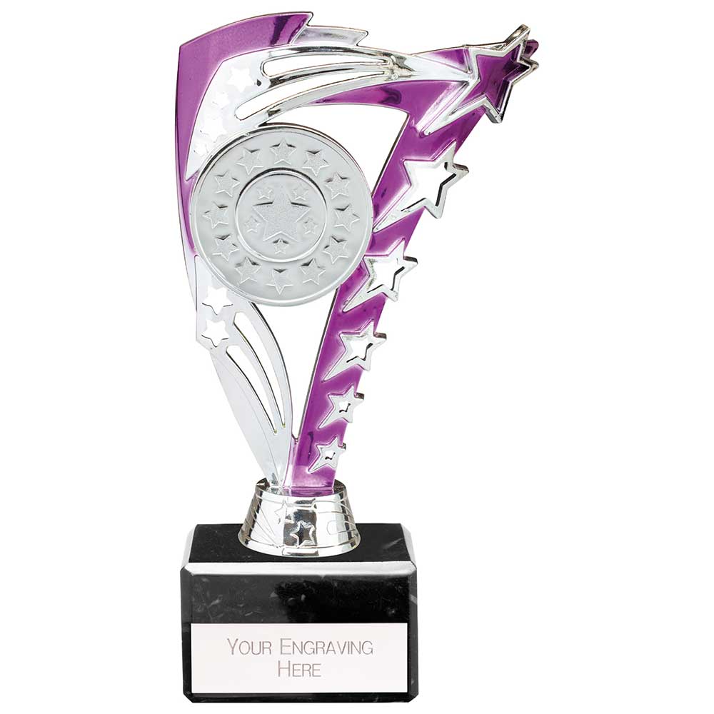 Frenzy Purple & Silver Trophy – 195mm