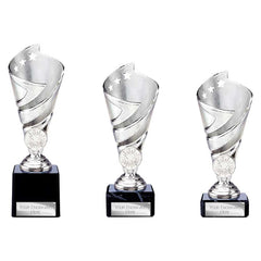Hurricane Silver Trophy