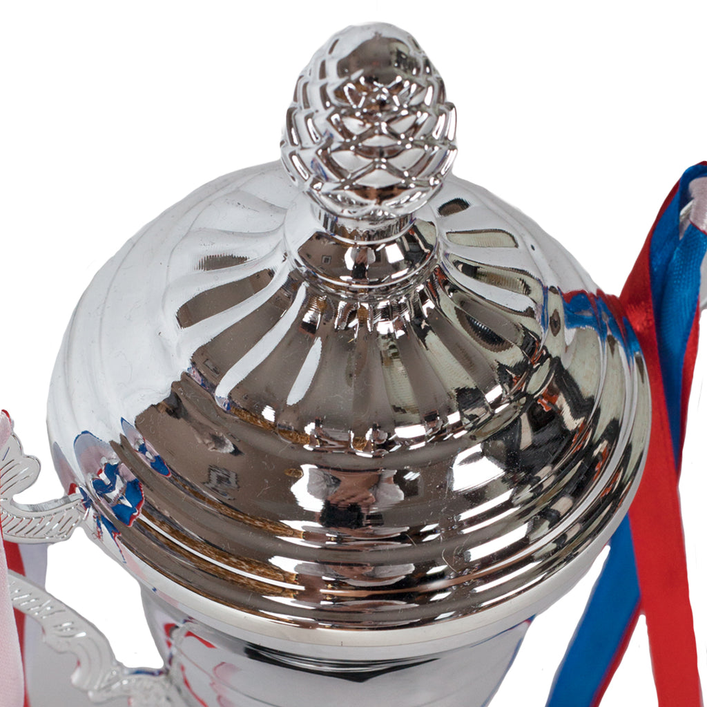 Victory Cup Silver Trophy Topper Zoomed by School Badges UK