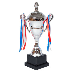 Victory Cup Silver Trophy by School Badges UK
