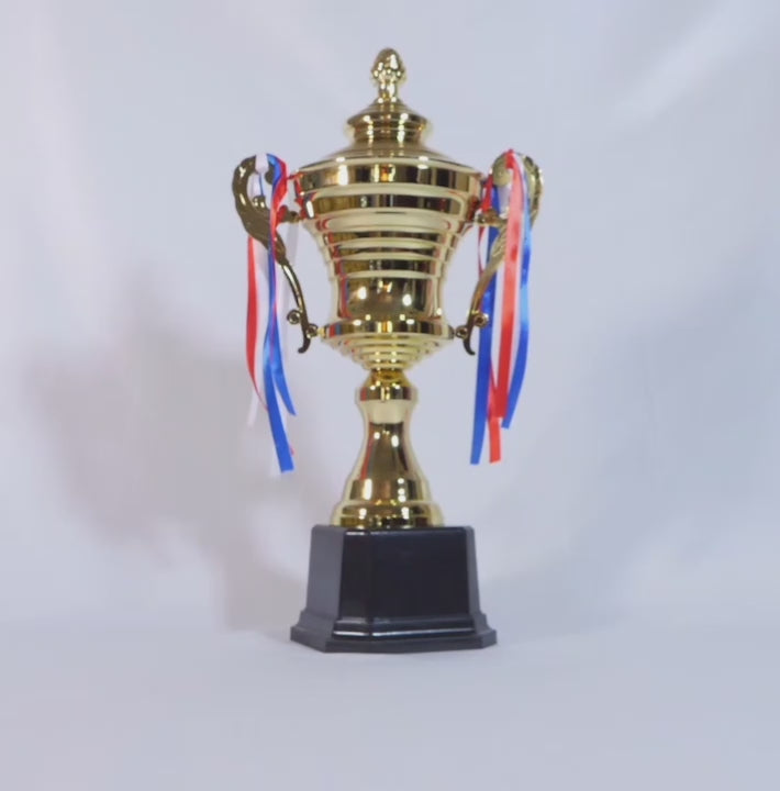 Sovereign Crest Cup Gold Trophy Video by School Badges UK