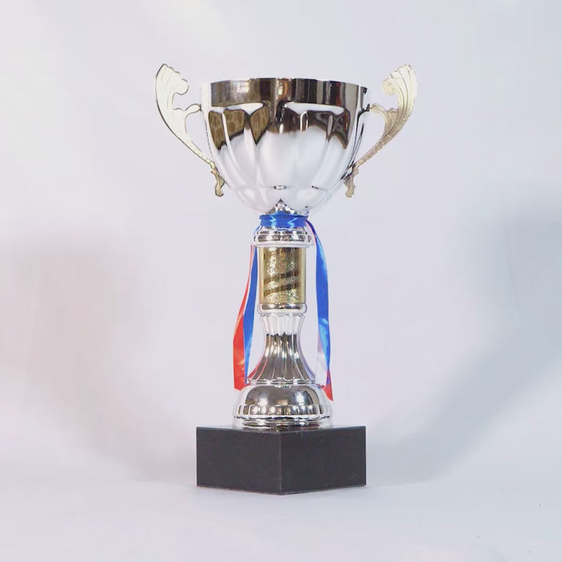 Heritage Victory Cup Silver Trophy Video by School Badges UK