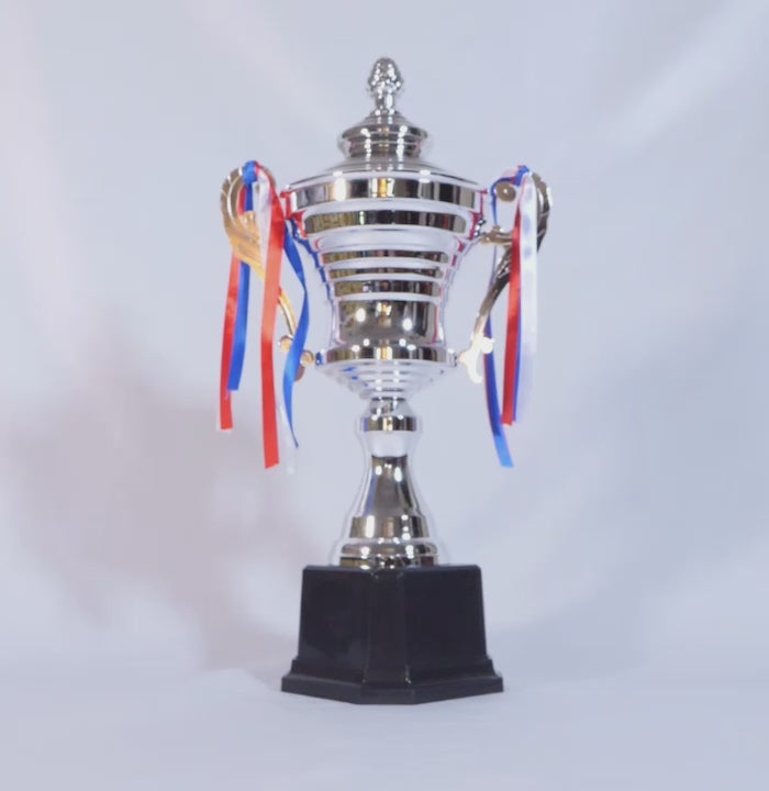 Load video: Sovereign Crest Cup Silver Trophy Video by School Badges UK