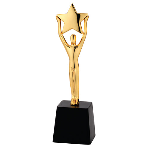 Star Pupil Trophy - School Badges UK