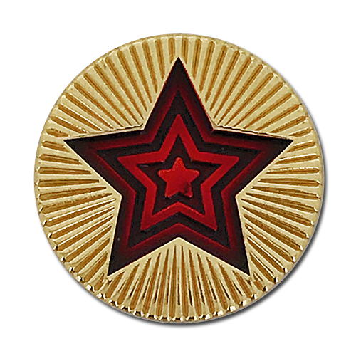 Round Star Badge by School Badges UK