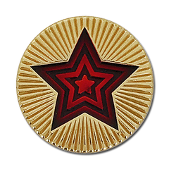 Round Star Badge by School Badges UK