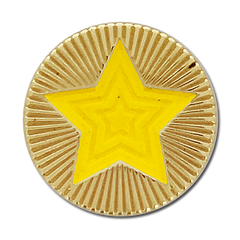 Round Star Badge by School Badges UK