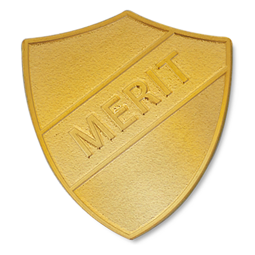 Merit Metal Shield Badge by School Badges UK