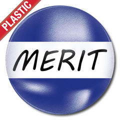 Merit Plastic Button Badge by School Badges UK