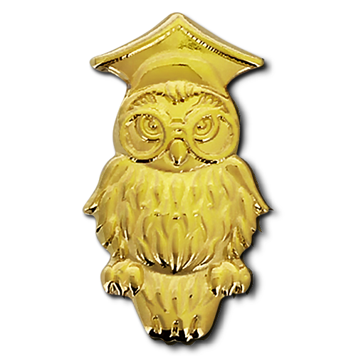 Wise Owl Badge by School Badges UK