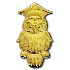 Wise Owl Badge by School Badges UK