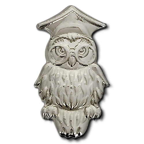 Wise Owl Badge by School Badges UK
