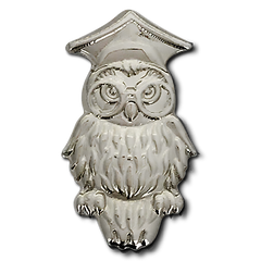 Wise Owl Badge by School Badges UK