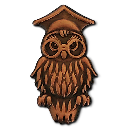 Wise Owl Badge by School Badges UK